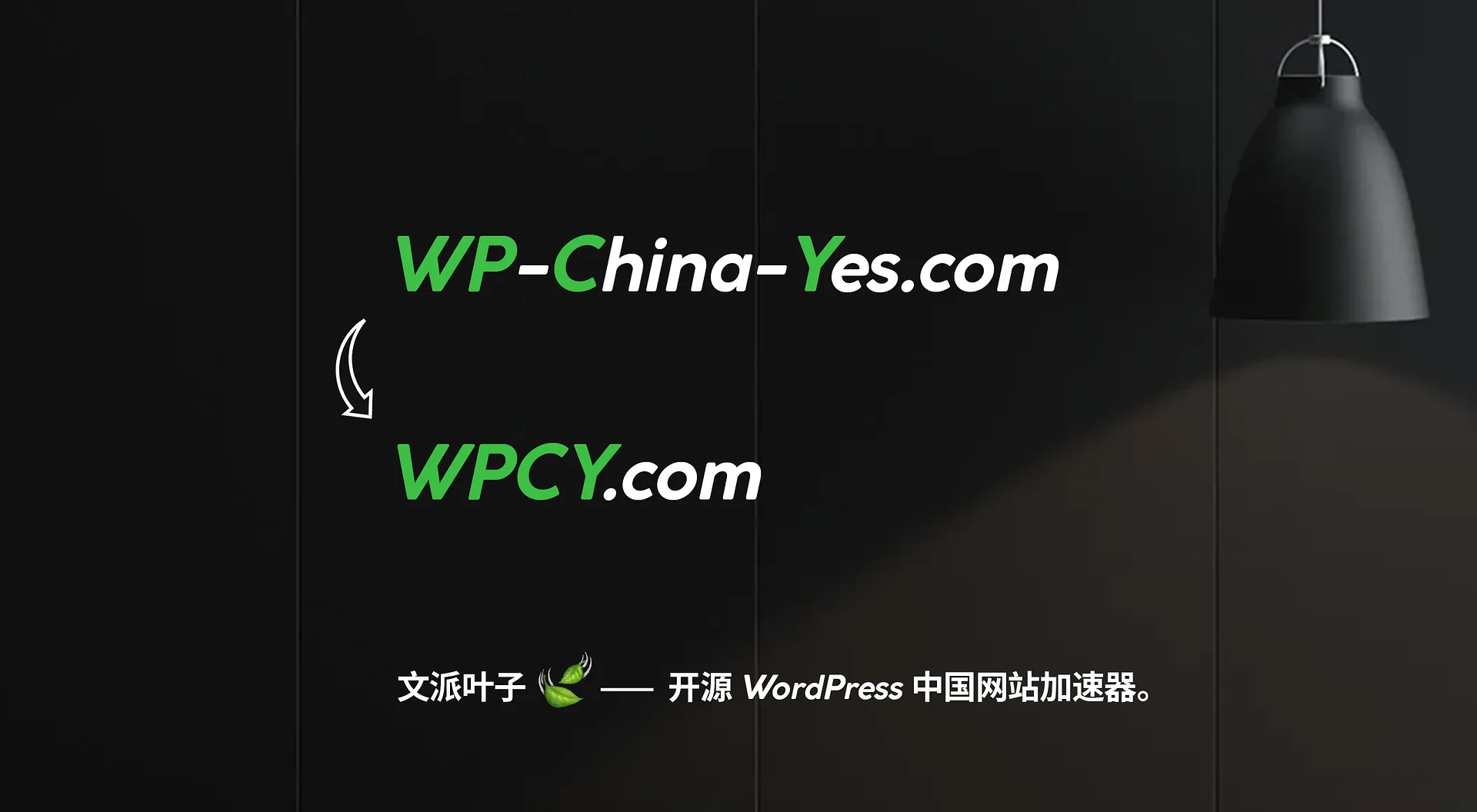 文派叶子 · 品牌重塑与 WPCY.com